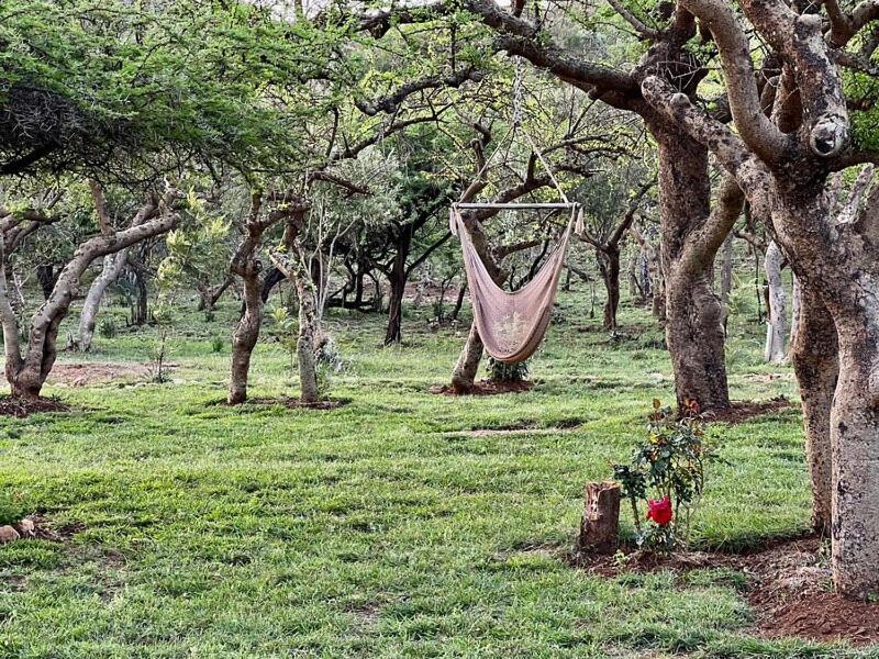 Authentic Mara Bush Home Sekenani Exterior photo