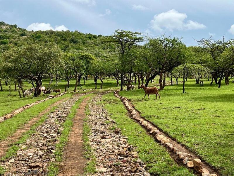 Authentic Mara Bush Home Sekenani Exterior photo