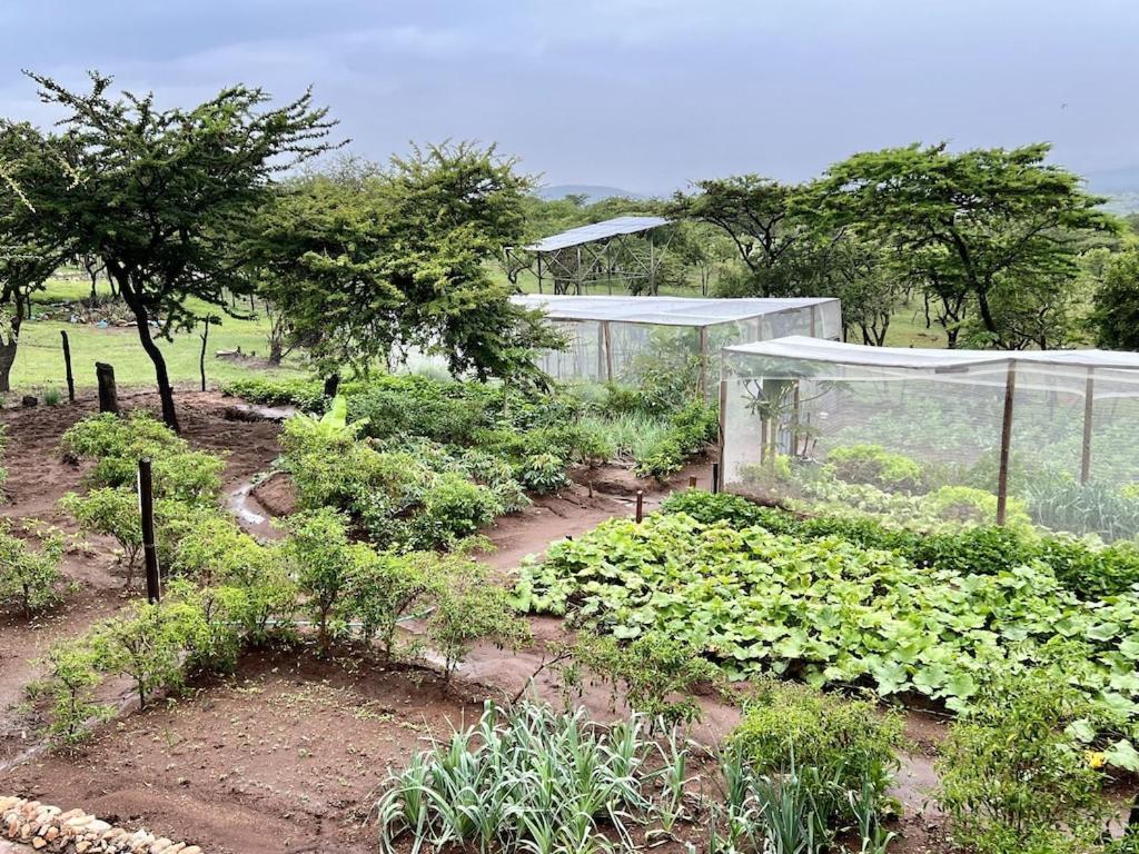 Authentic Mara Bush Home Sekenani Exterior photo