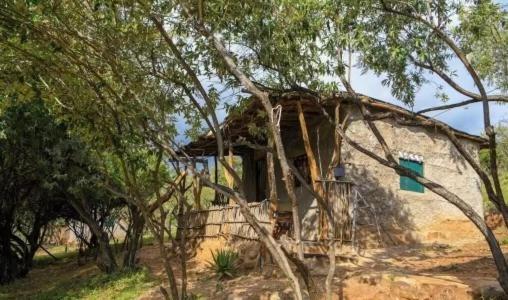 Authentic Mara Bush Home Sekenani Exterior photo