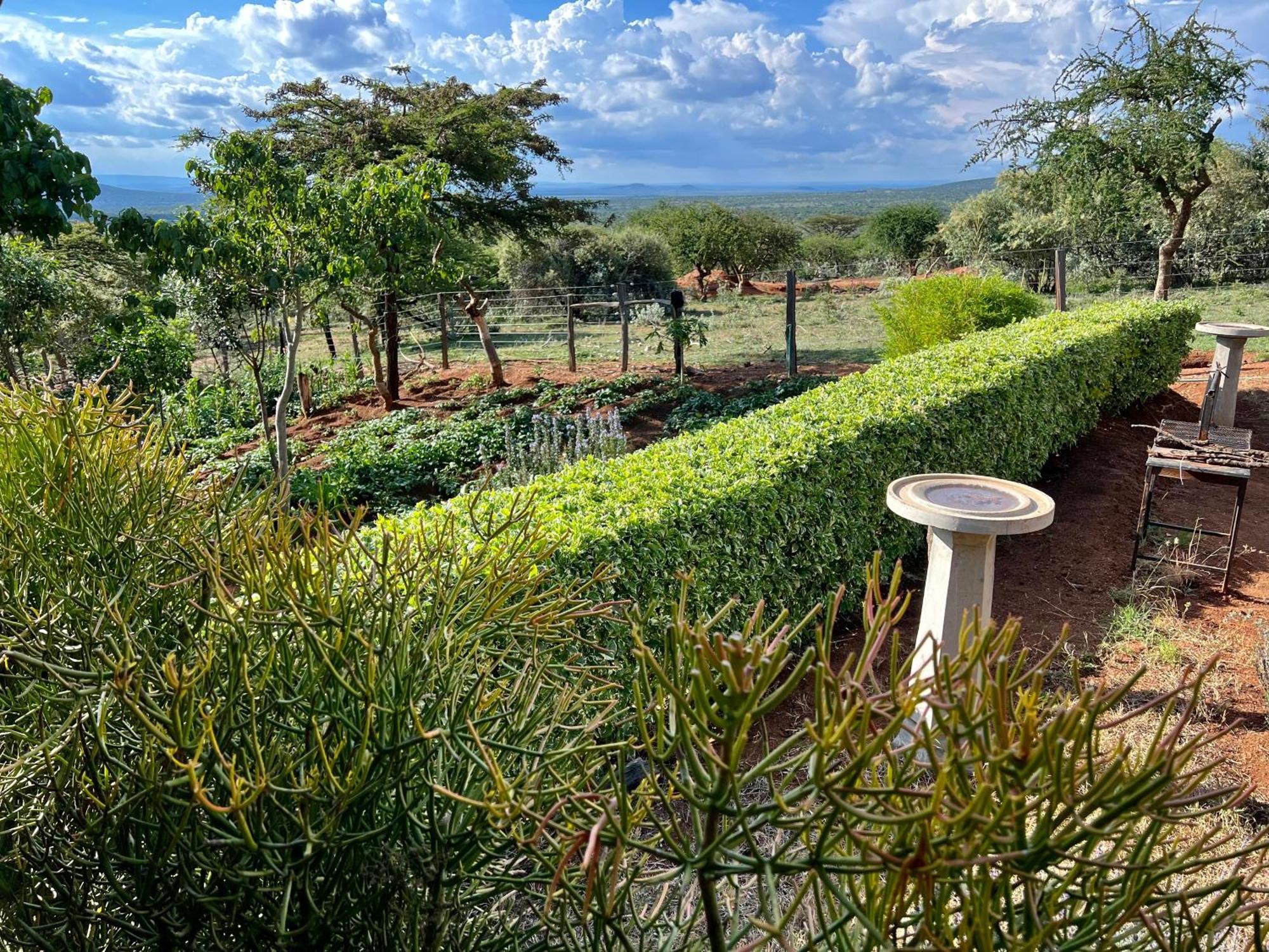 Authentic Mara Bush Home Sekenani Exterior photo