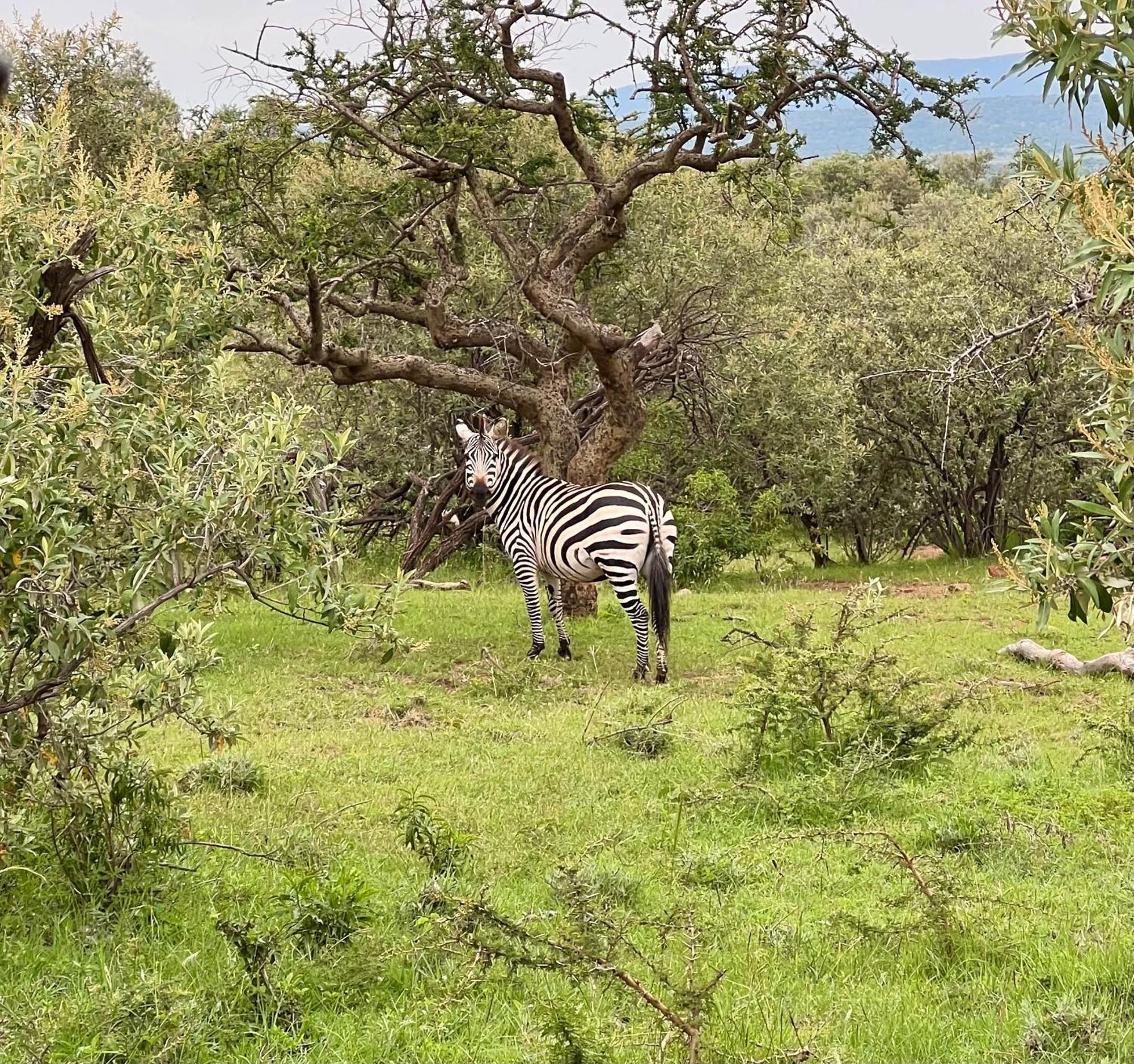 Authentic Mara Bush Home Sekenani Exterior photo